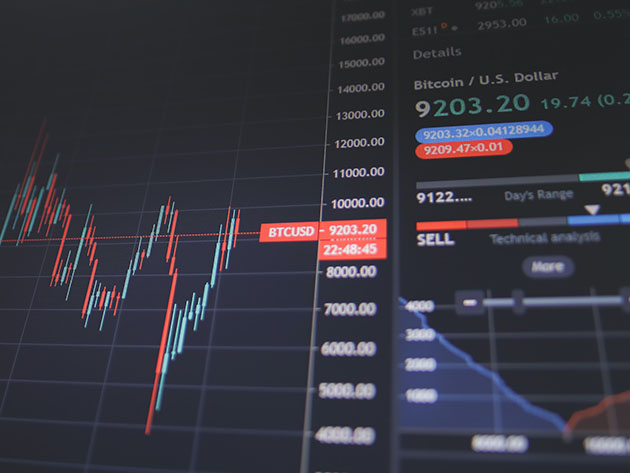 Ultimate Bundle Course